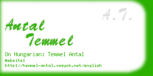 antal temmel business card